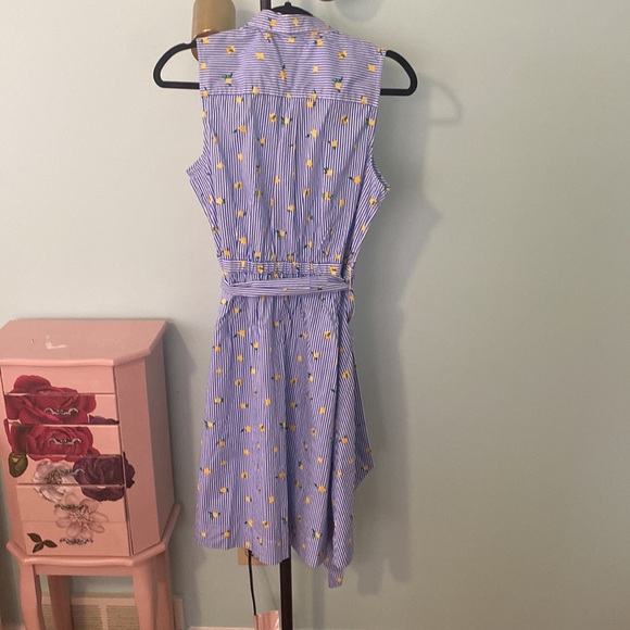 Gorgeous comfy dress J.Crew sz 8 - Picture 4 of 5